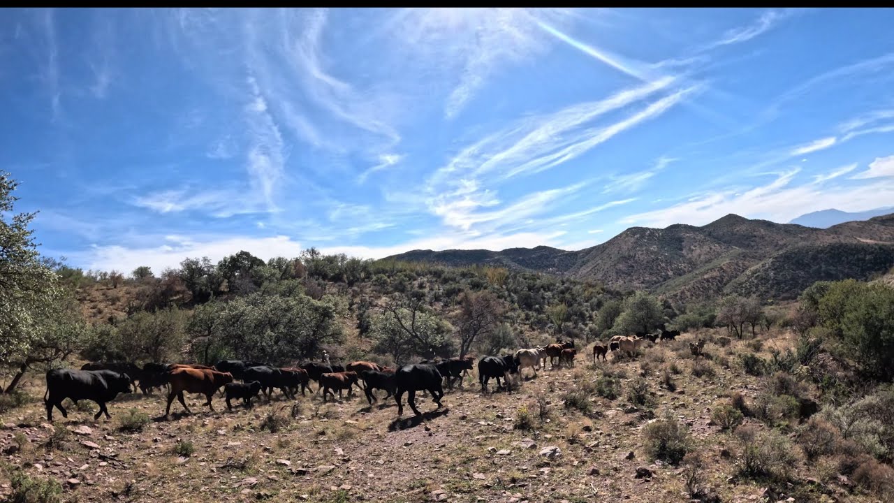 Rancho Las Pilitas (PARTE 1) 🤠