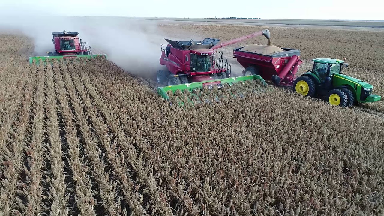 Albers Farms Brownell Ks 2017 Milo harvest - drone video