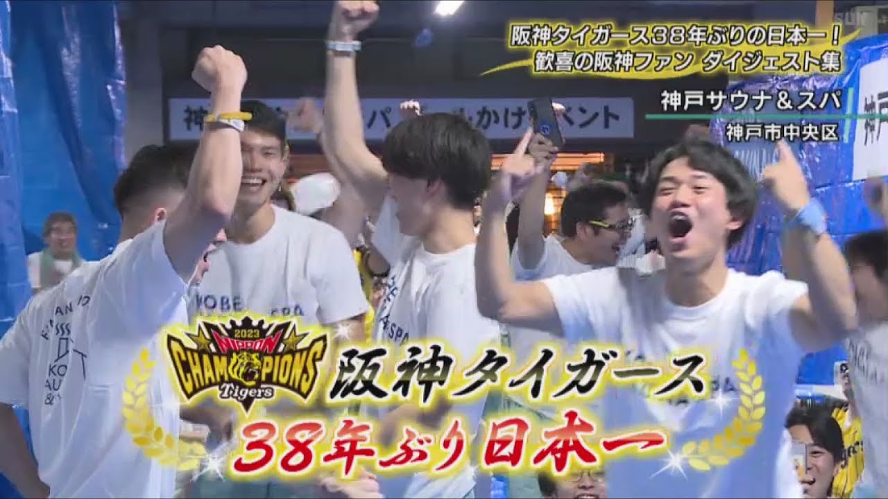 歓喜の阪神ファンダイジェスト集　阪神タイガース３８年ぶりの日本一！