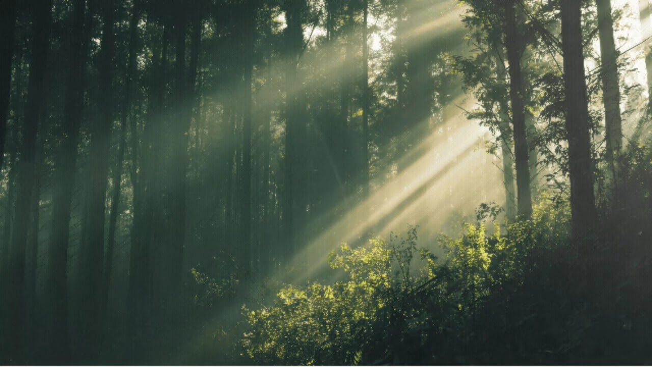 Music for yoga[🧘‍♀️] | Deep Focus | Stress Relief