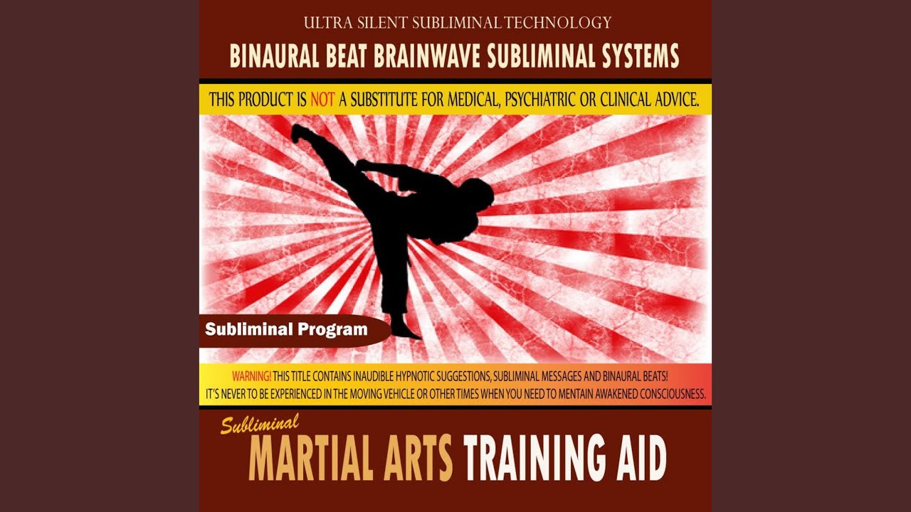 Martial Arts Training Aid