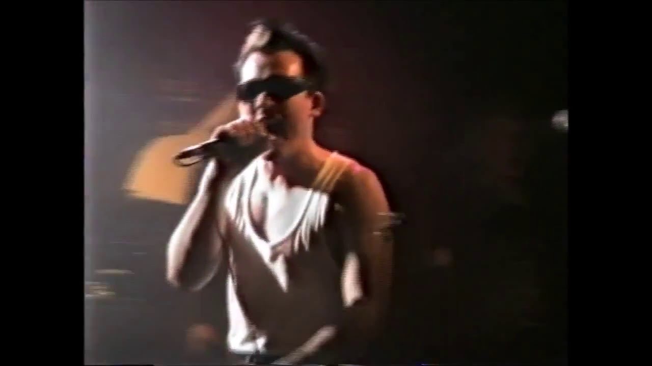 the Damned 