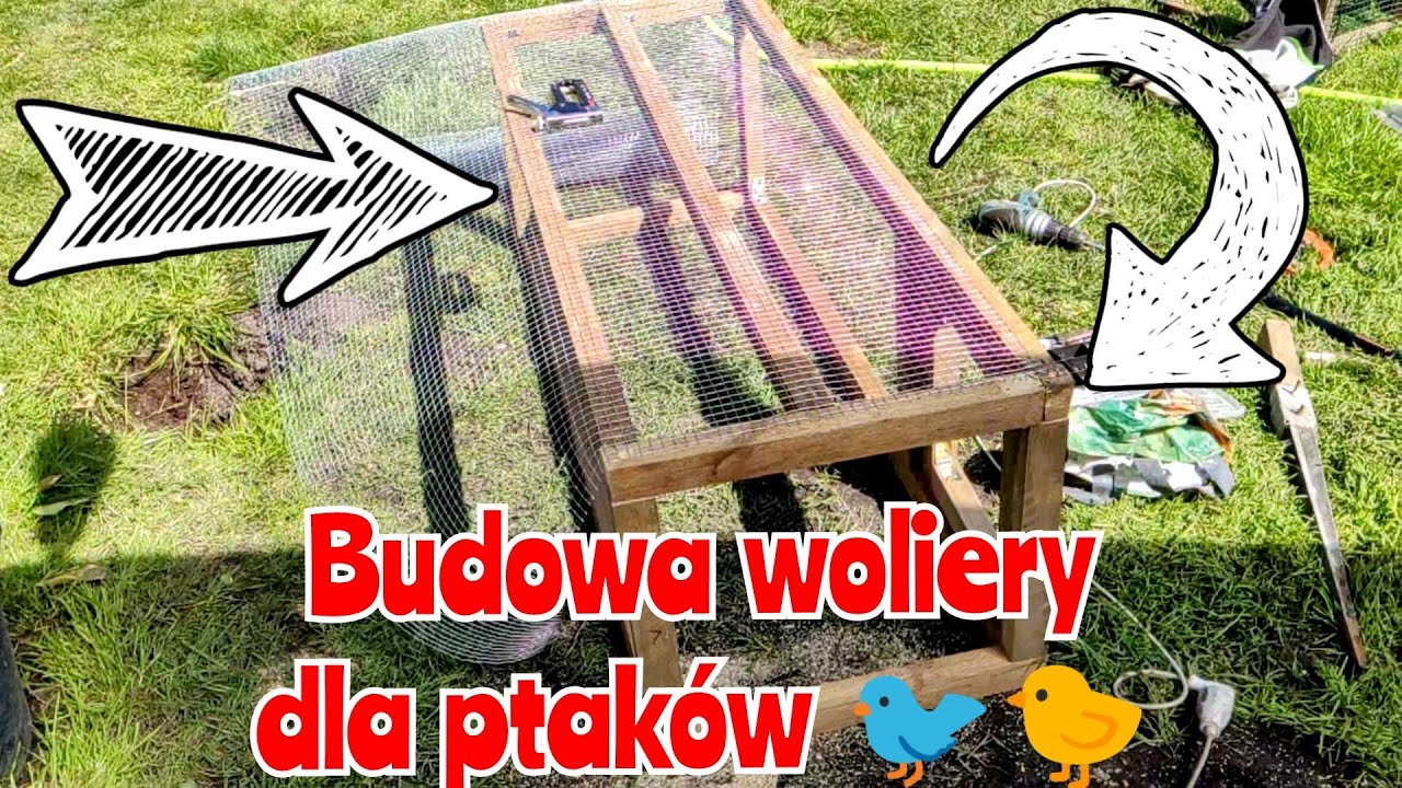 Budowanie woliery zewnętrznej dla Papug i zeberek. Cz.1