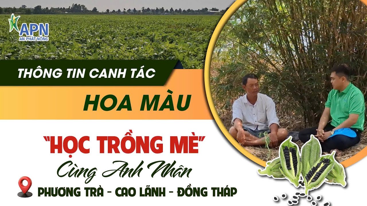 APN - HỌC TRỒNG 