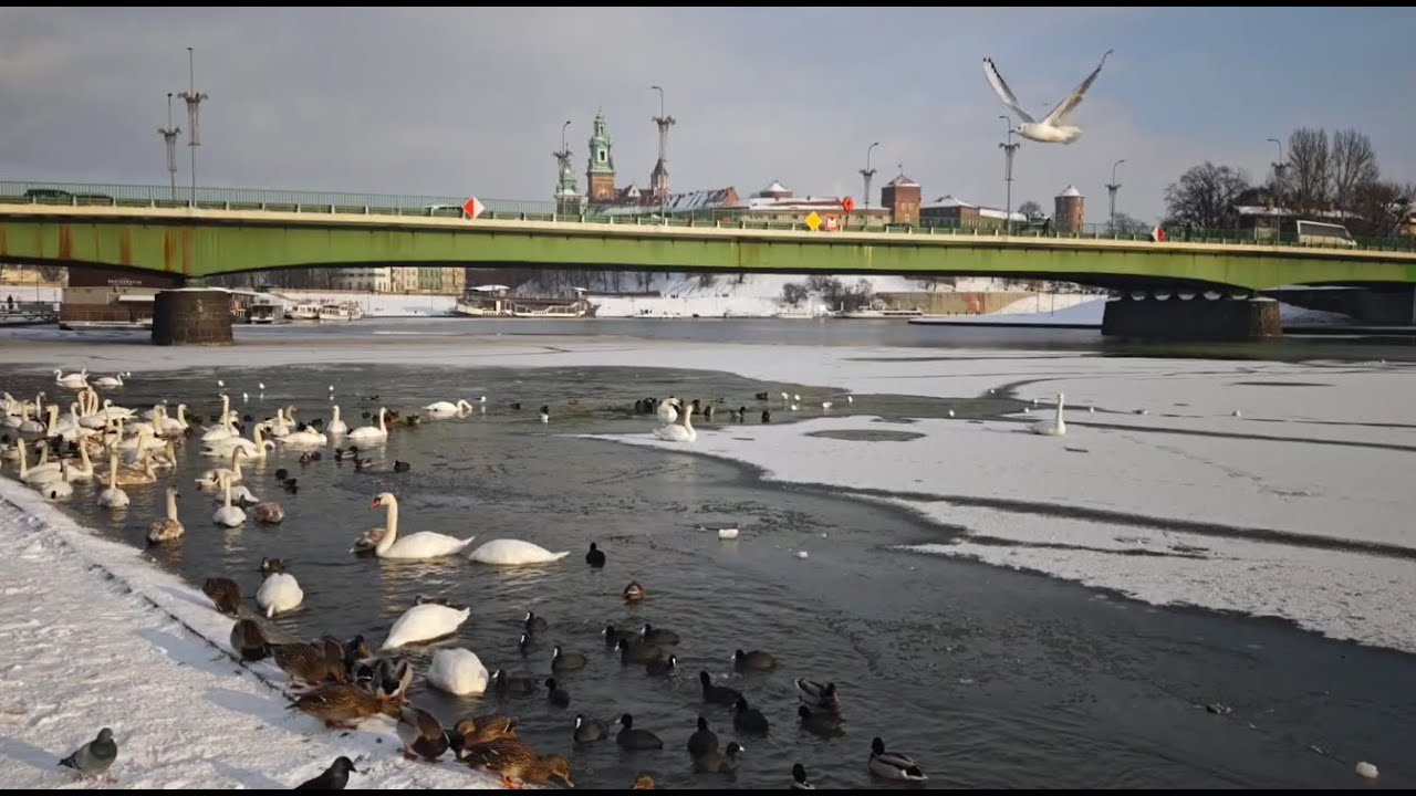 10.01.2026, Kraków