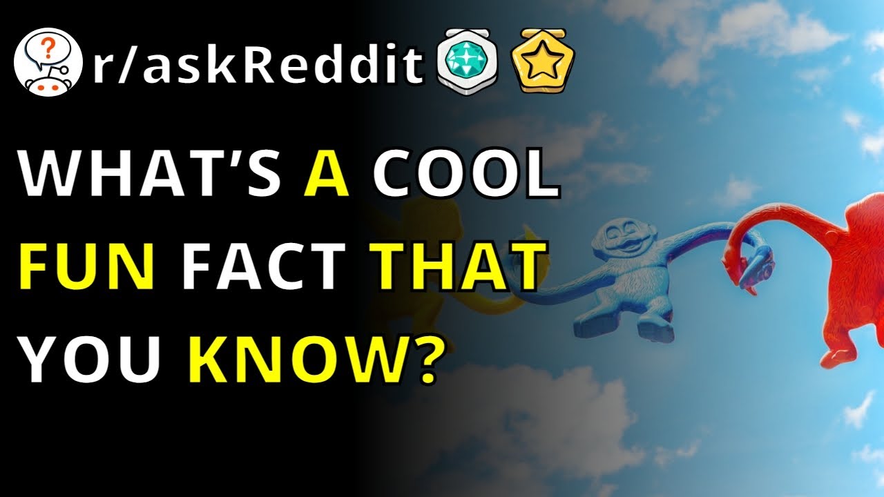 What&rsquo;s A Cool Fun Fact That You Know? | R/askreddit