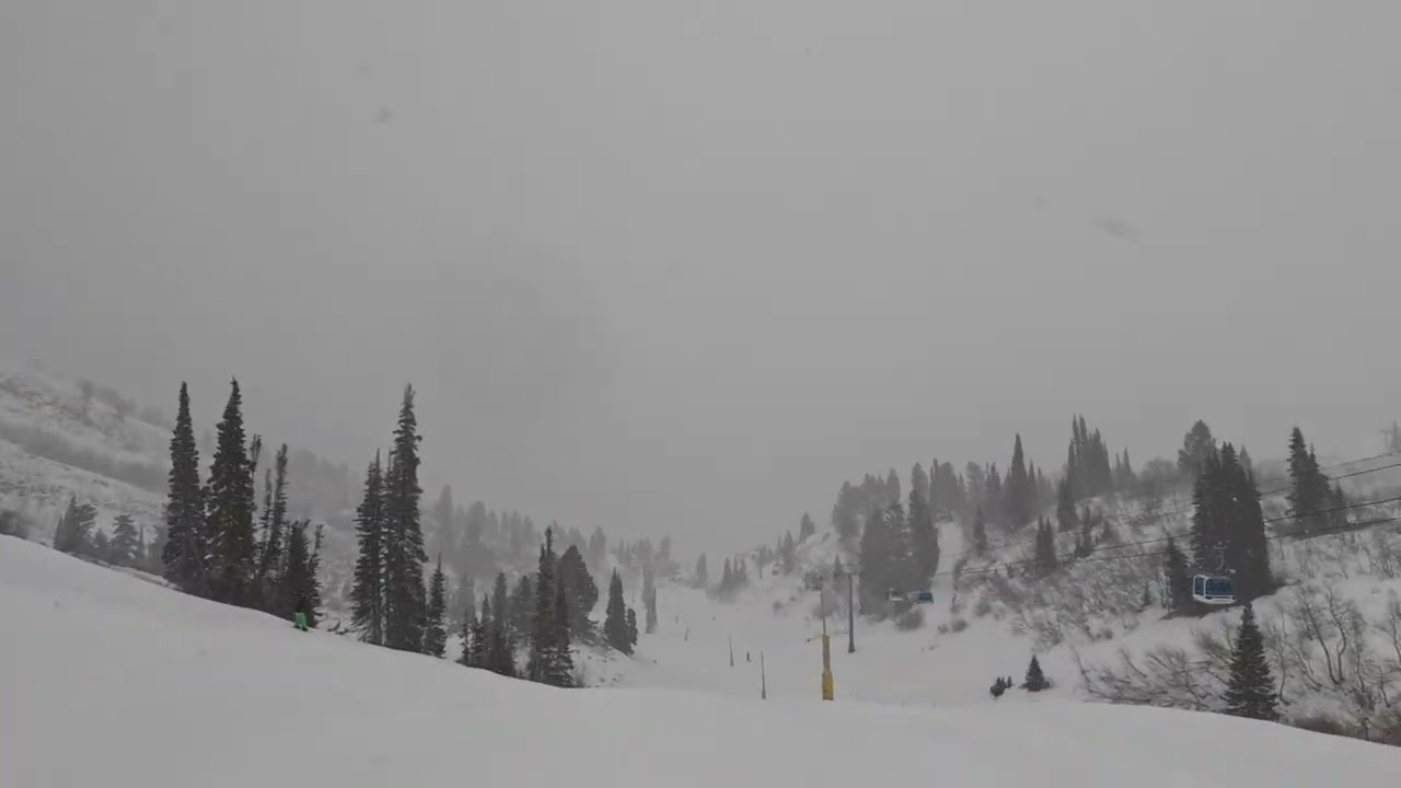 Snowbasin Ski Resort A Snow Day On Needles