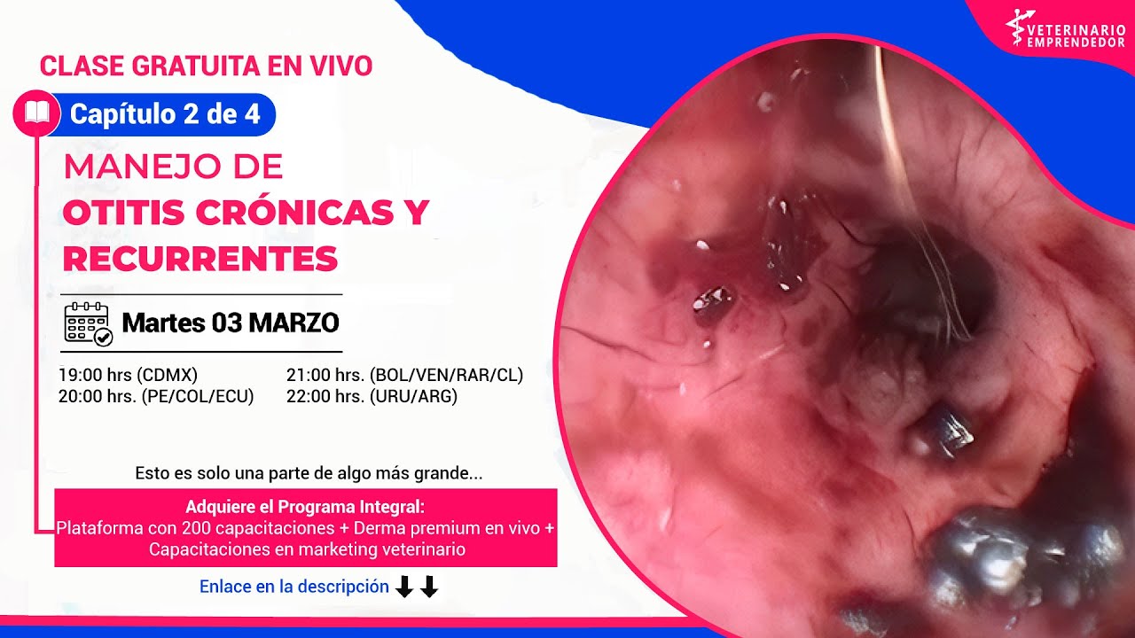 Masterclass 2, Manejo de otitis crónicas y recurrentes (qué estoy haciendo mal)
