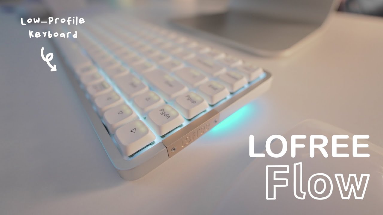 진짜 부드러운 기계식 키보드 / Low-Profile / Kailh Full POM Switch / Gasket Mount (Lofree Flow)
