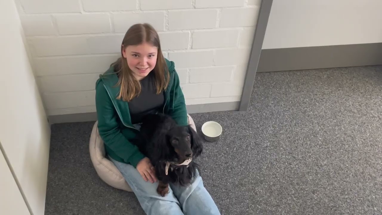 Wallburg-Realschule in Eltmann - vorgestellt von Schülerinnen und Schüler