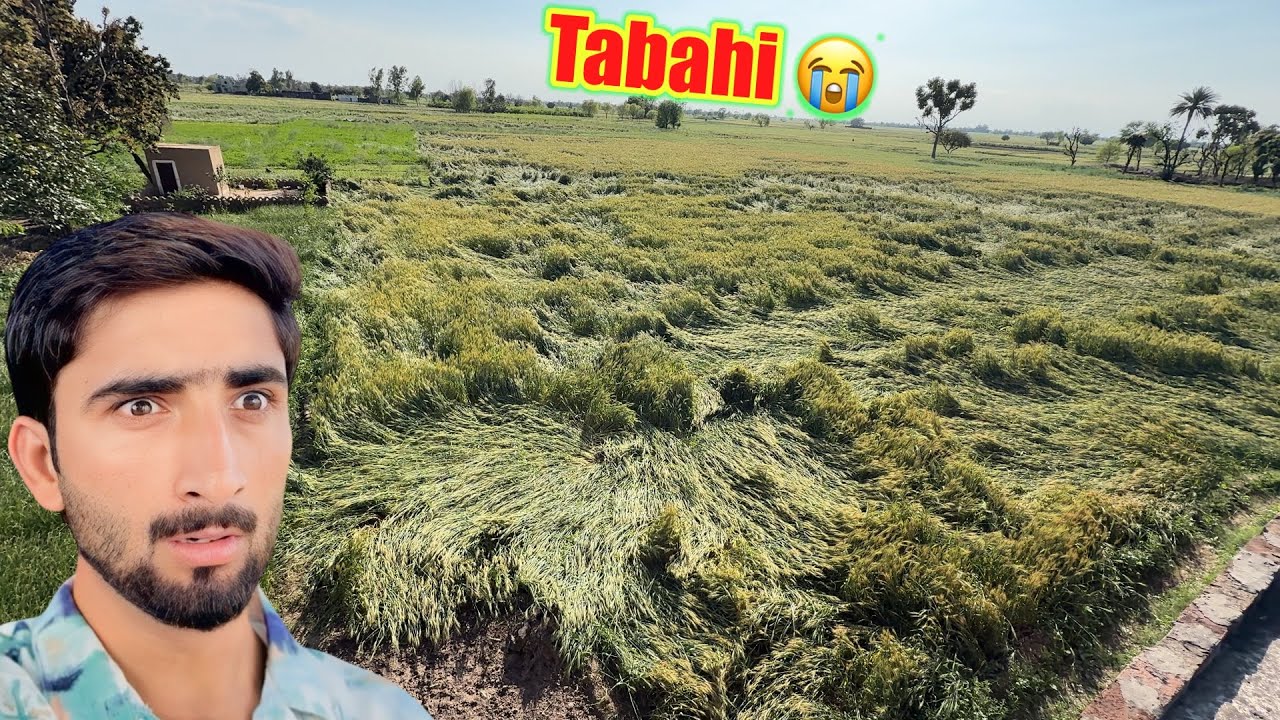 Tabaahi - Toofan - Nuksan 😭Big Strom In Village 