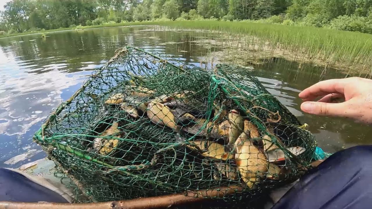 Ловля карася и линя на морду