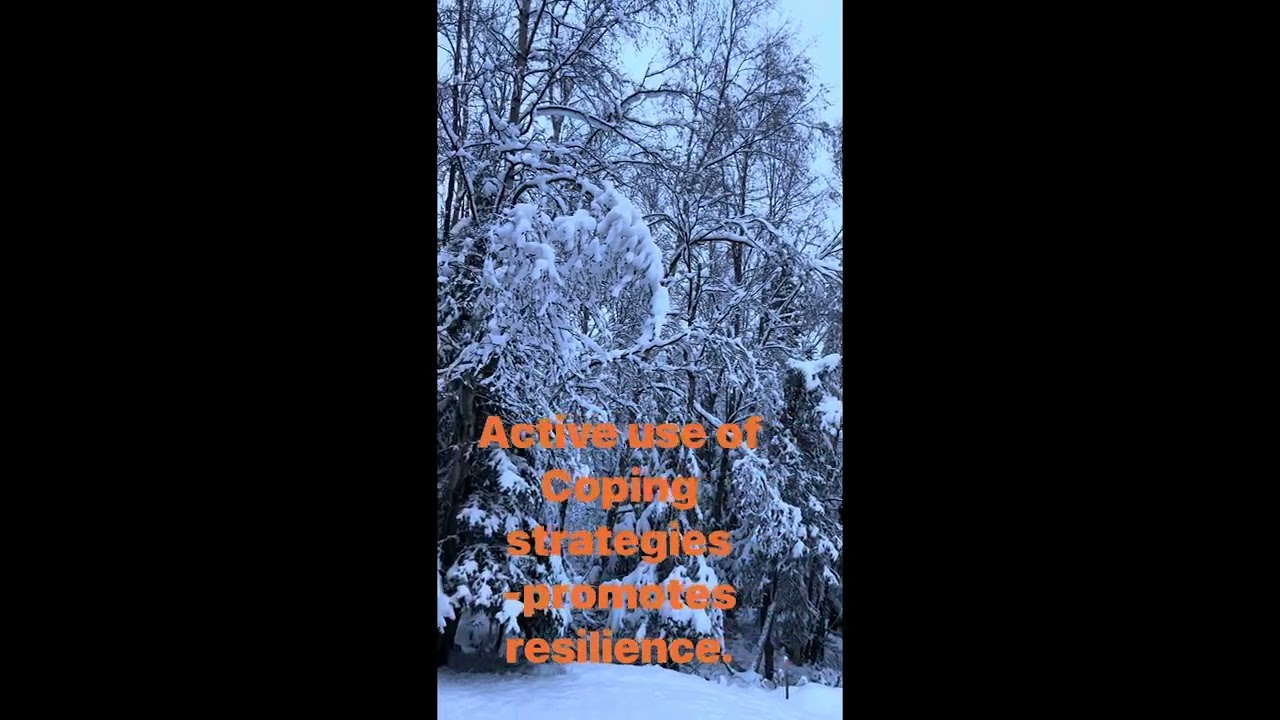 Anchorage, Alaska @ Resilience