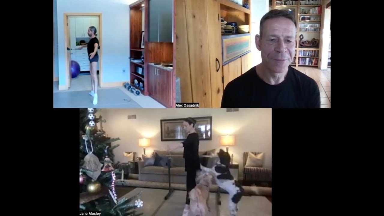Ballet After 60: When the dogs invade tendus in ballet class!