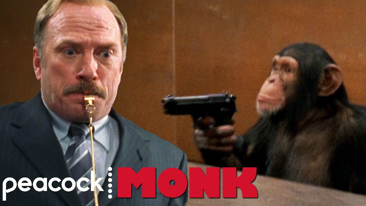 Can a Chimpanzee Fire a Gun? | Monk