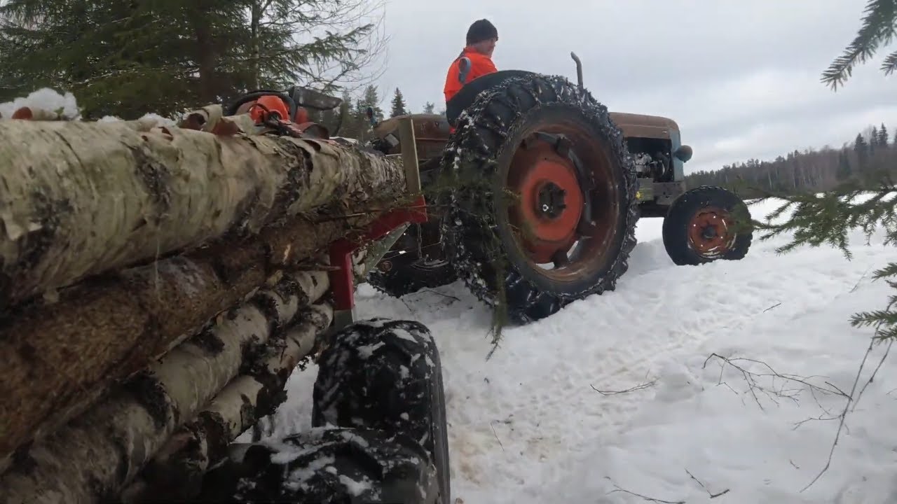 Fordsonilla puiden ajoa metsästä pois