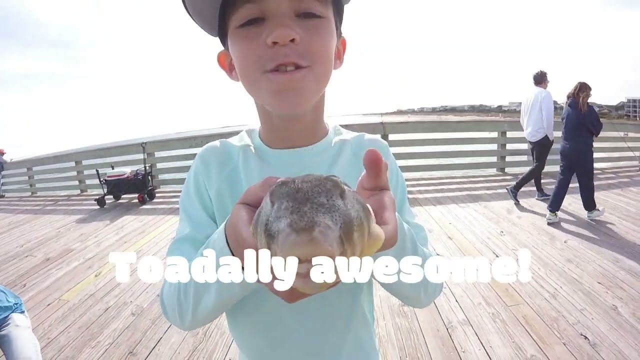 Fishing at the pier! Part 2