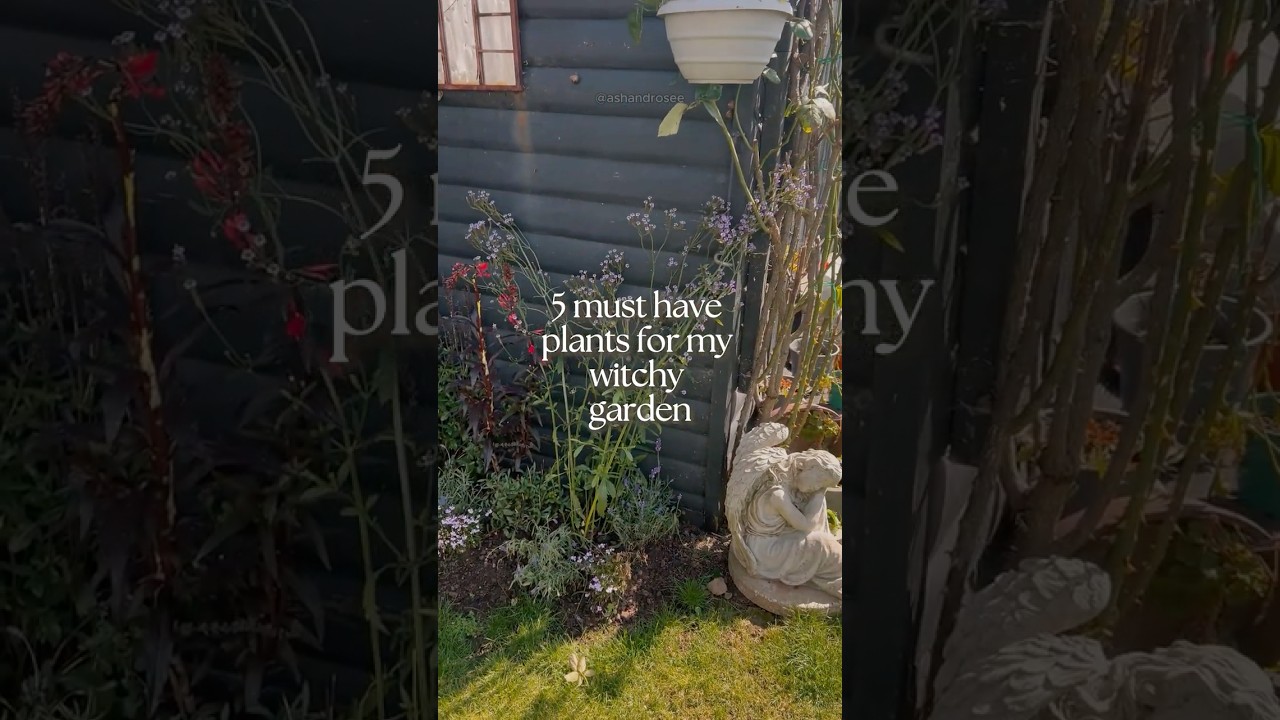 5 Magical Plants Every Witch Needs in Their Garden! 🌿✨ #greenwitch #witchtok #witchcraft #witch