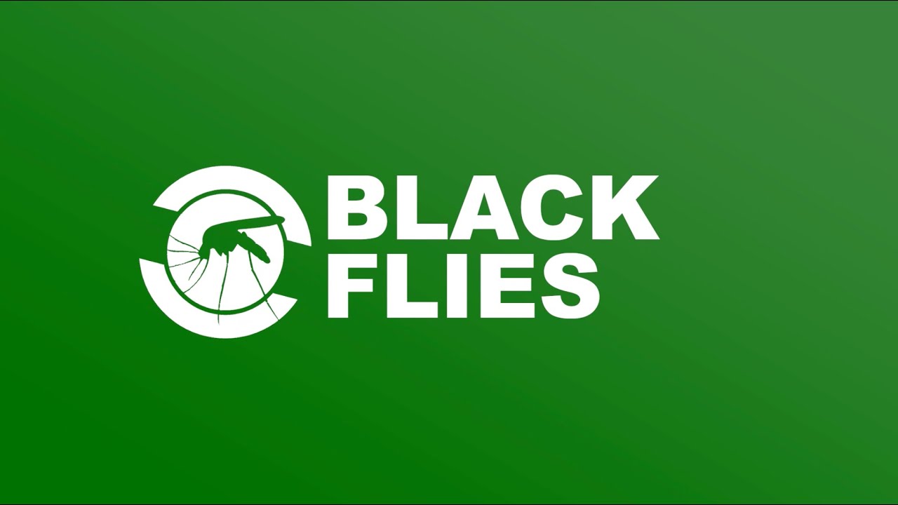 How MMCD Monitors and Controls Black Flies (Biting Gnats)