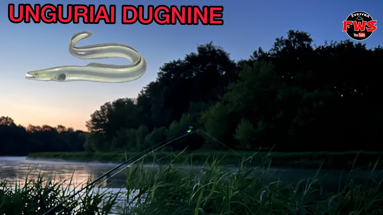 SUPERINĖ UNGURIŲ ŽVEJYBA NERYJE 2023