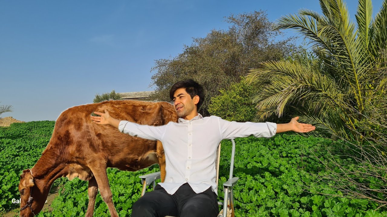  شاید فردایی نباشد