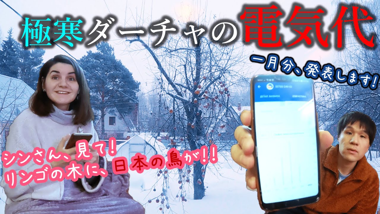 あの“日本の鳥”が、モスクワ郊外の自宅にやってきた！？極寒の1月、気になるロシアの電気代は果たしていくらに・・・。ロシア産ワインのお土産＆日本好きの中学生も！