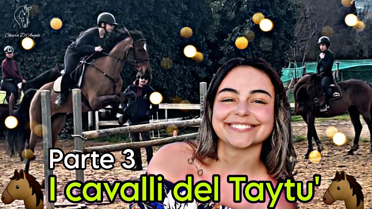 I cavalli del mio maneggio: il Taytù🐎