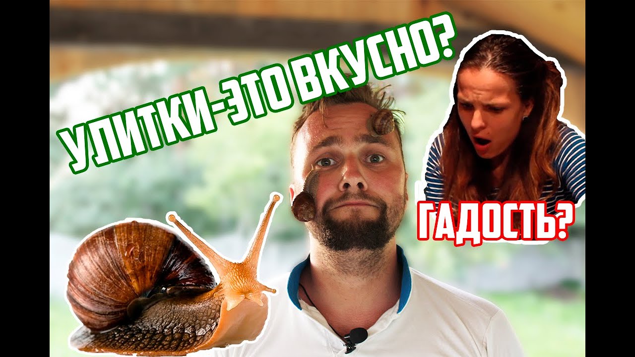 Едят ли улиток с дачи? Съедобные улитки