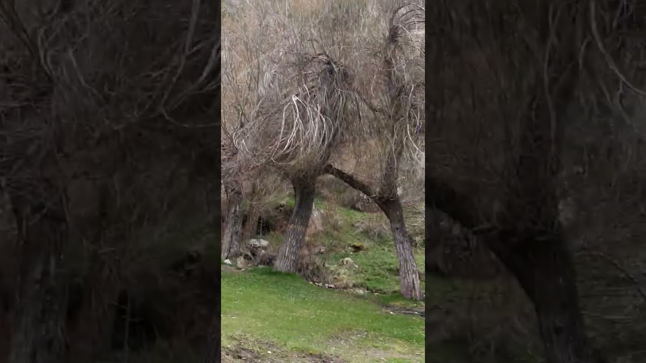 Konya Bozkır Üçpınar tufanderesi yaylası.  3