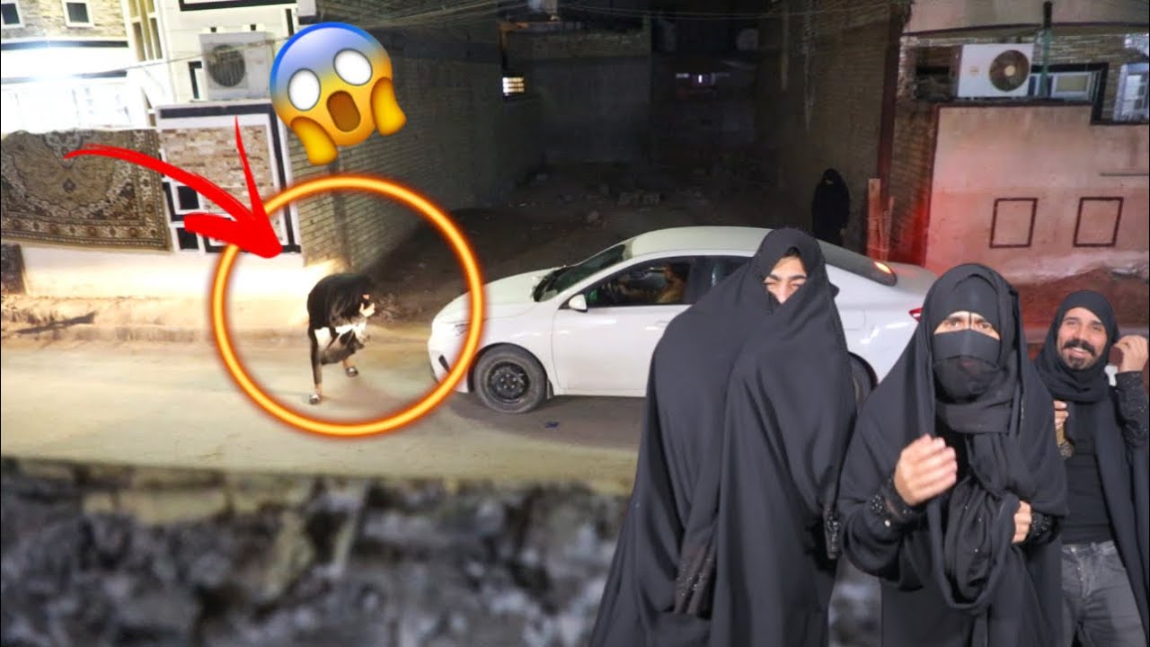 مقلب البنات صديقي انصدم شوفو شصار