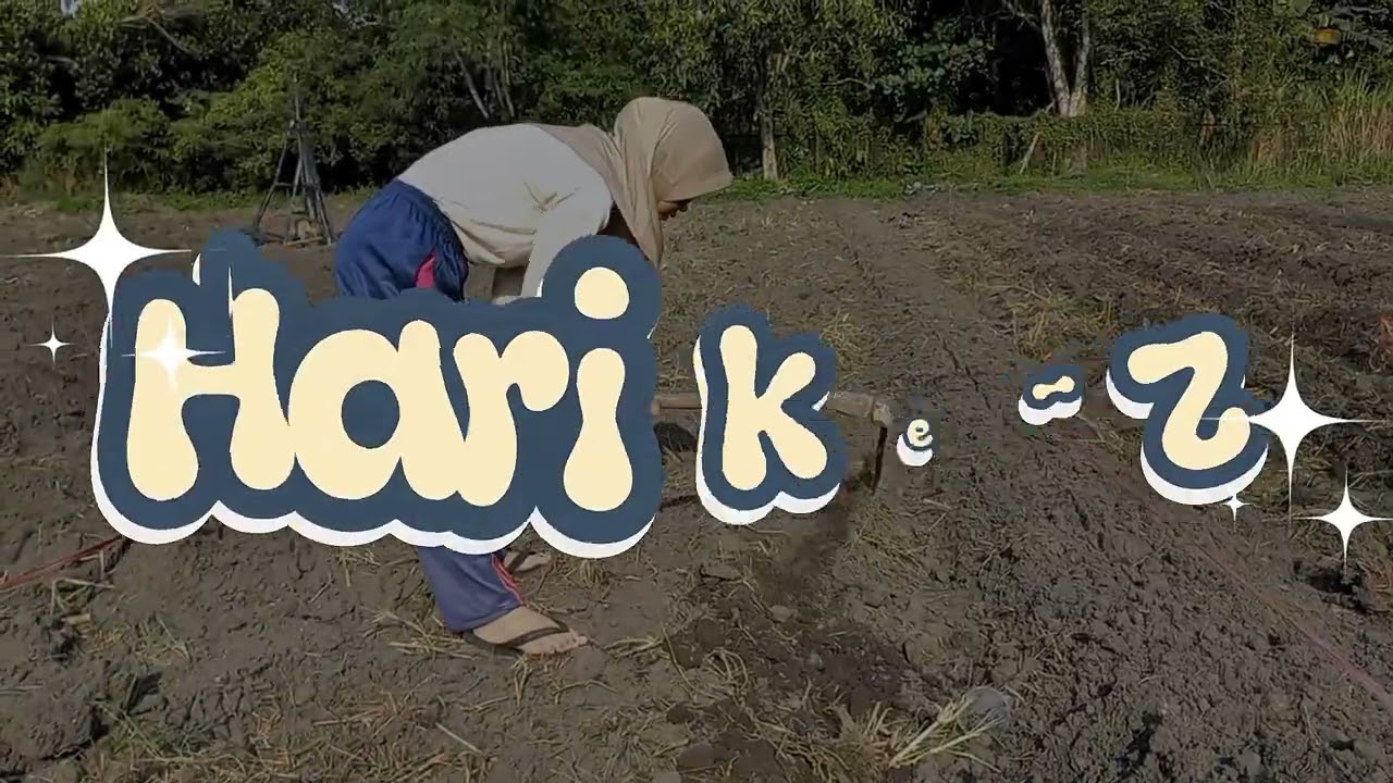 Diah Purnama Sari_Pekan 1_Sawi Samhong