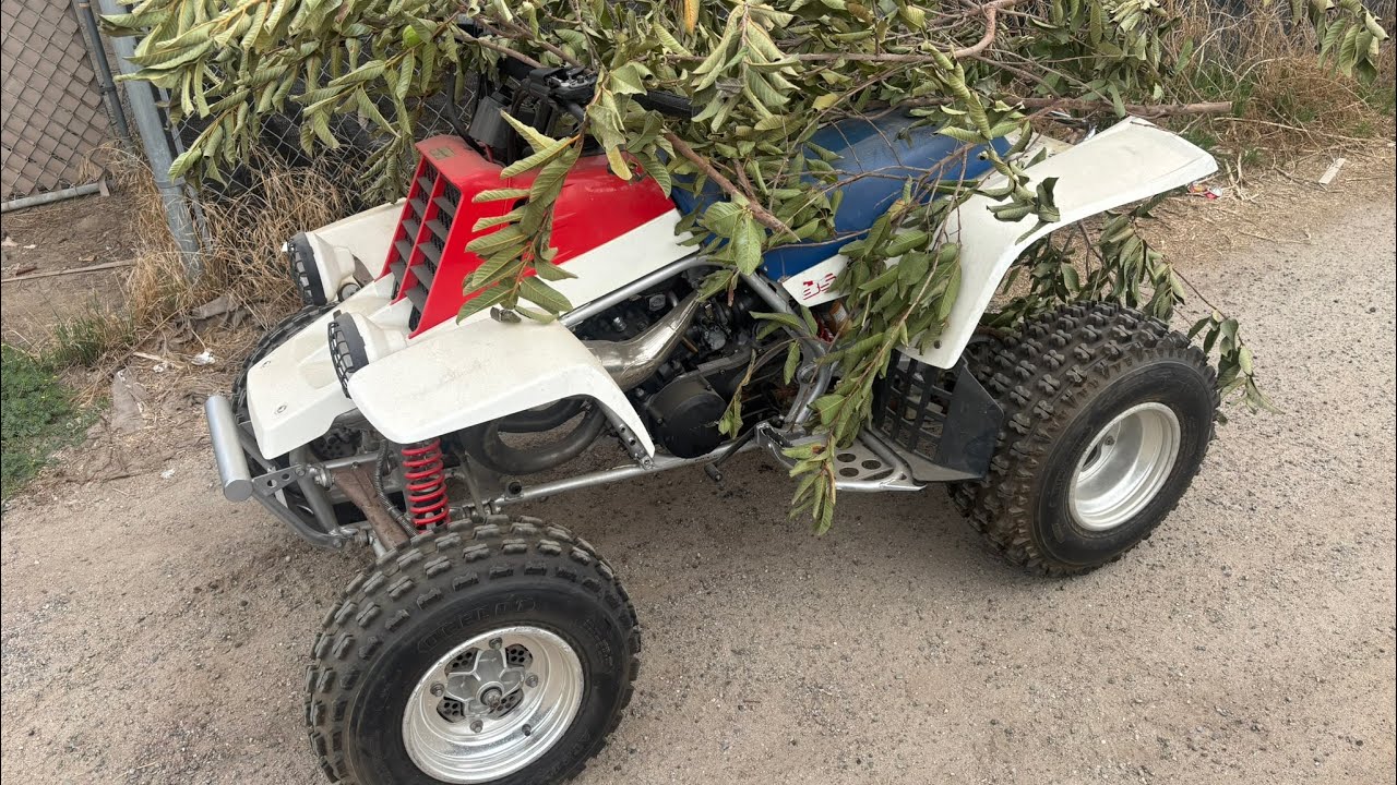 Я купил брошенный Yamaha Banshee 1990 года. Заведется ли он?