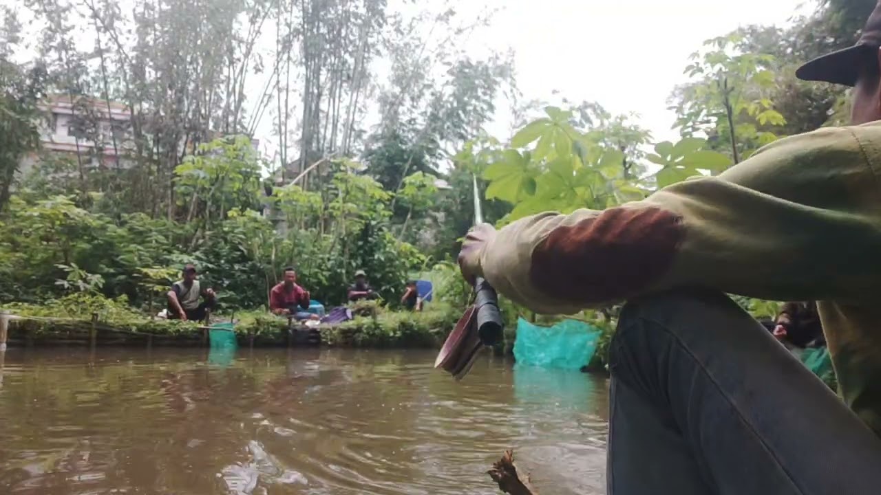 masih di mancing borongon harga 3jt
