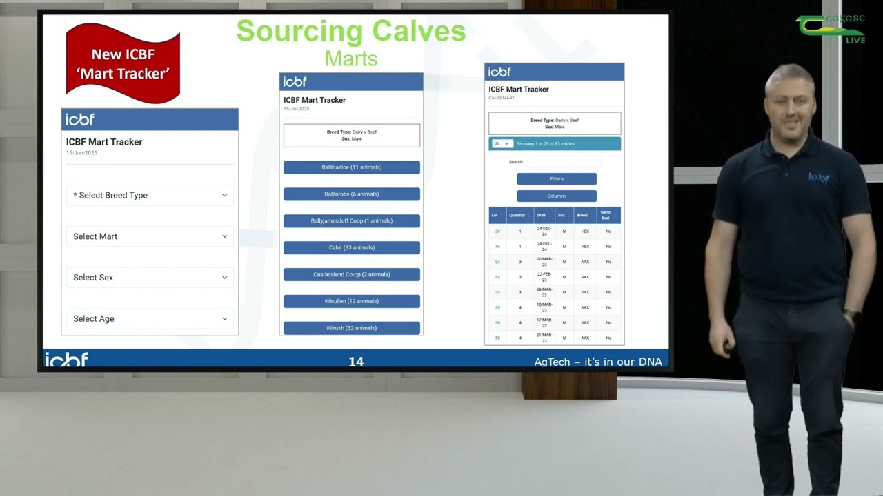 Sourcing and Finishing High Quality Dairy Beef Animals  - Teagasc   DairyBeef 500 Webinar