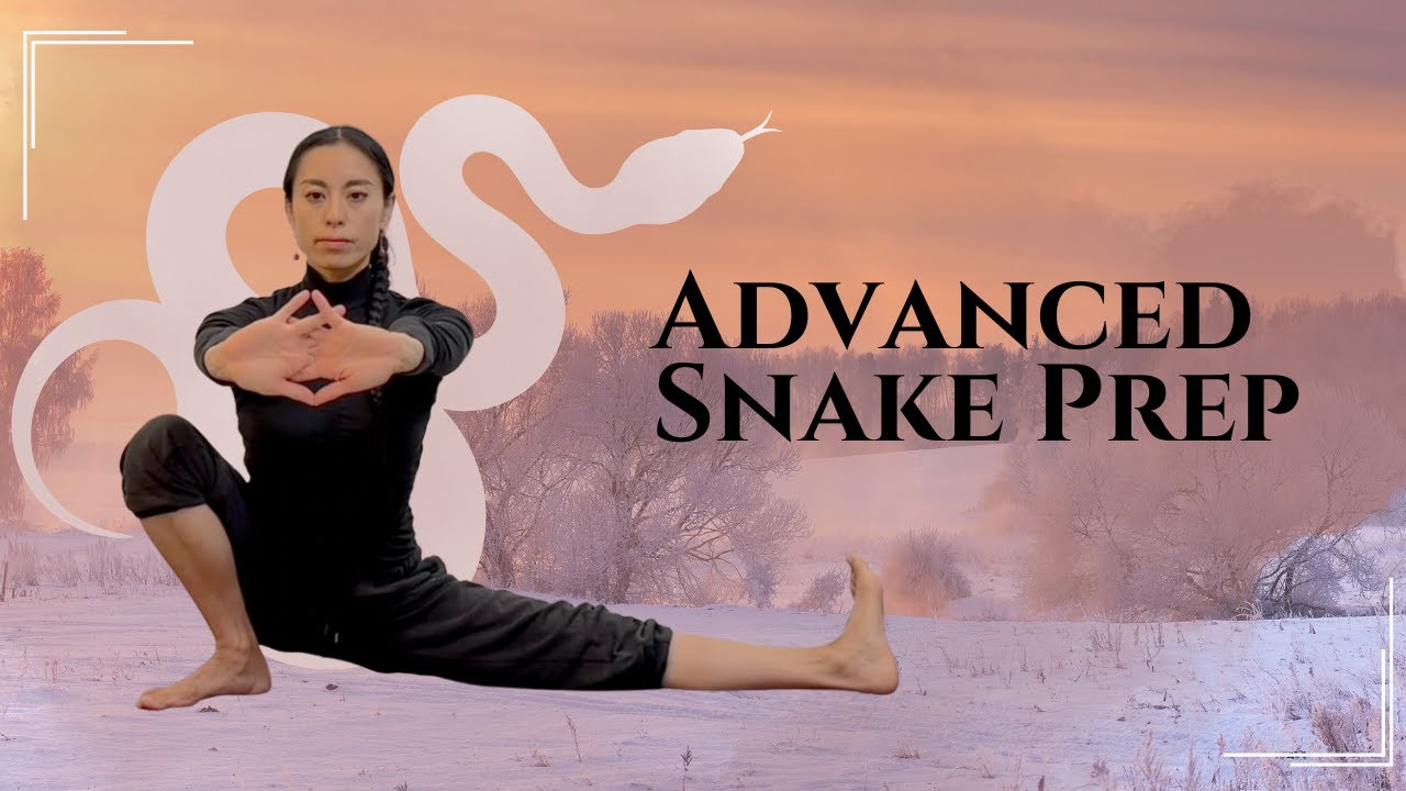 Warm Up & Stretching for Snake Qigong: Preparing the Body for Advance and Deep Stances