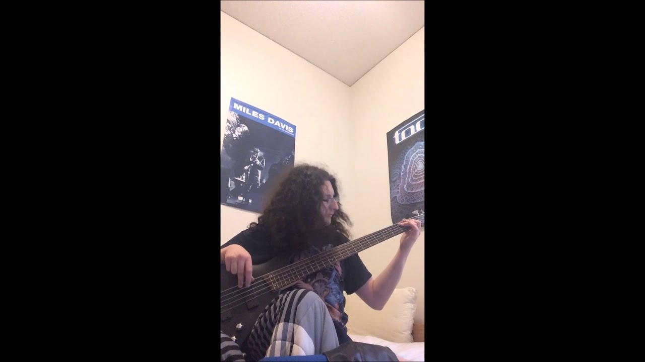 maudlin of the well- gleam in ranks (bass cover)