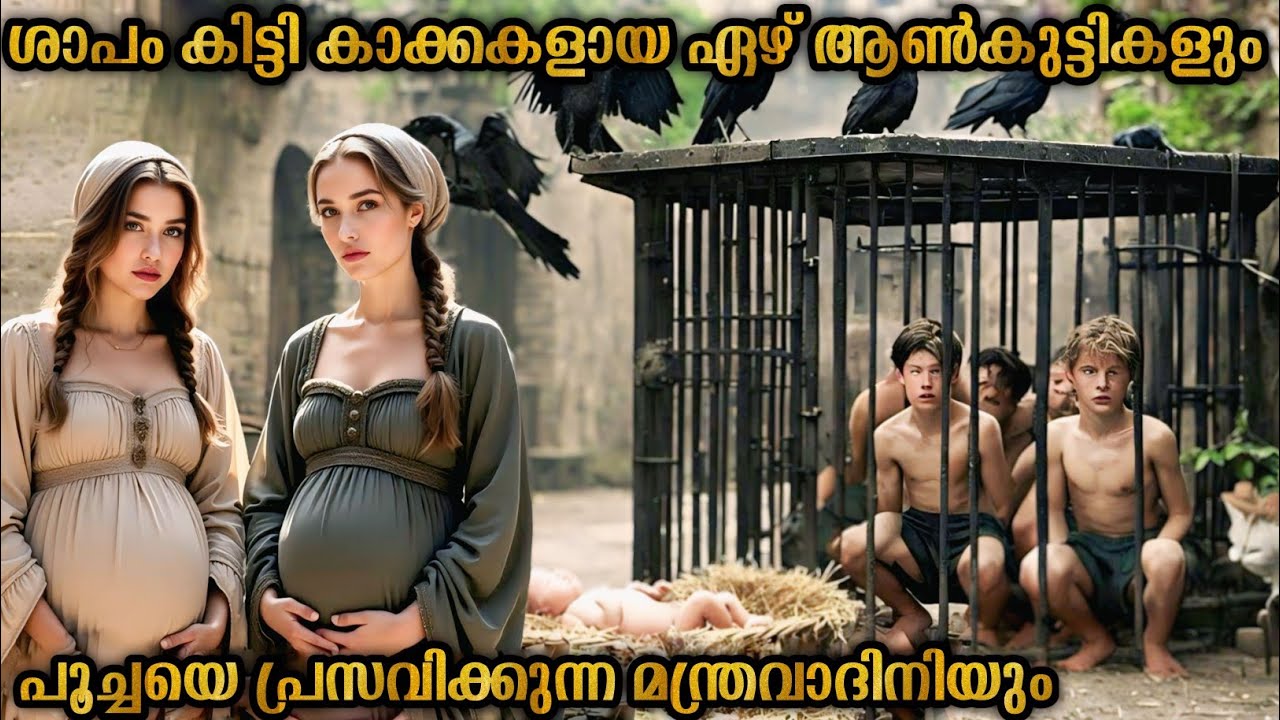 ശാപം കിട്ടി കാക്കകളായ ഏഴ് സഹോദരങ്ങളെ രക്ഷിക്കാൻ പോകുന്ന സഹോദരി | malayalam explanation