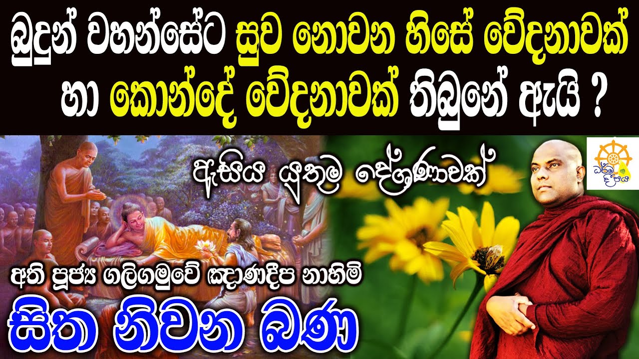 කල පවු පන්න පන්නා විපාක දෙන හැටි | galigamuwe gnanadeepa thero  | bana | budu bana