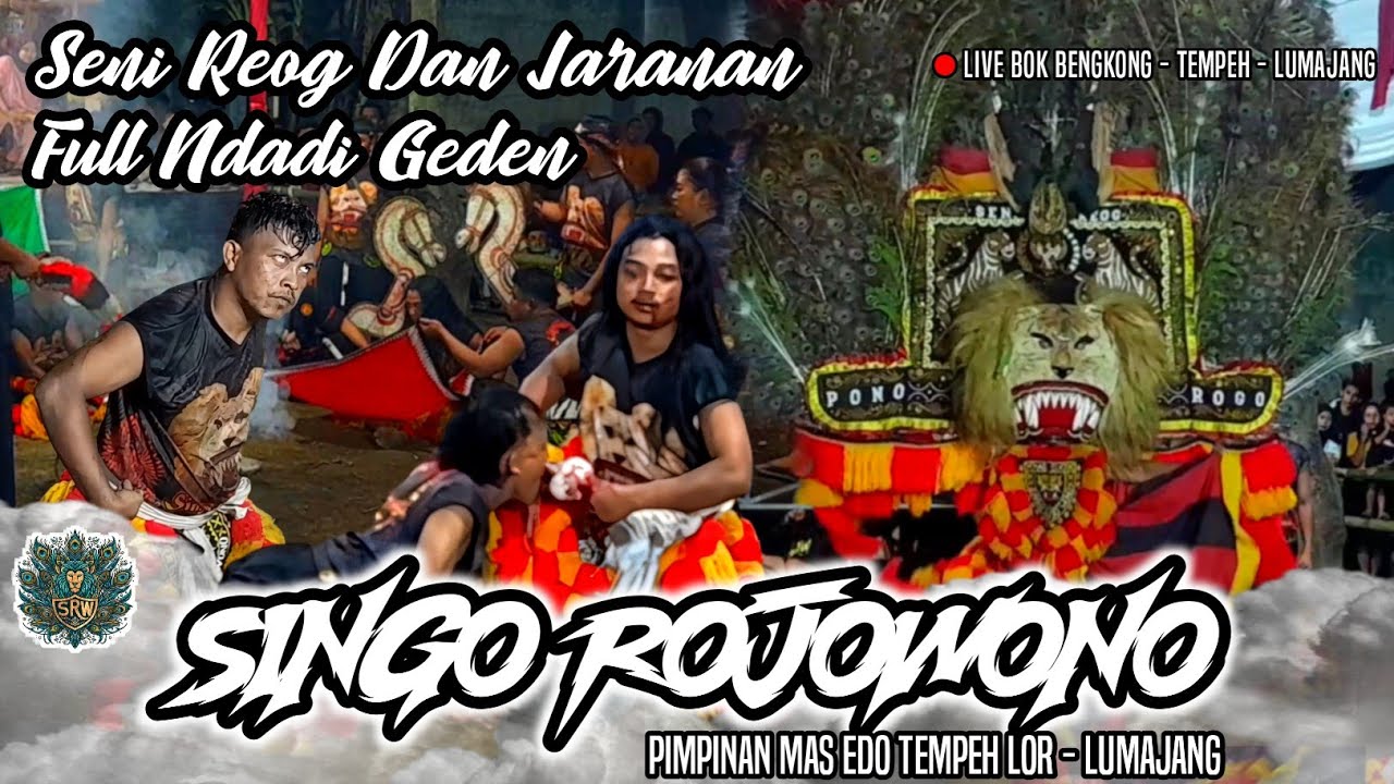SPESIAL HUT RI ke 79 SOLAH DADAK MERAK PEMBARONG NDADI GEDEN❗REOG SINGO ROJOWONO LIVE TEMPEH LOR