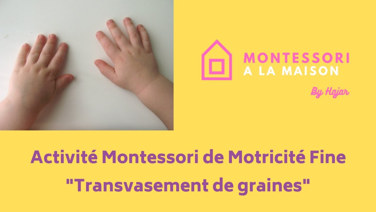 Activité Montessori de Motricité 2-3 ans