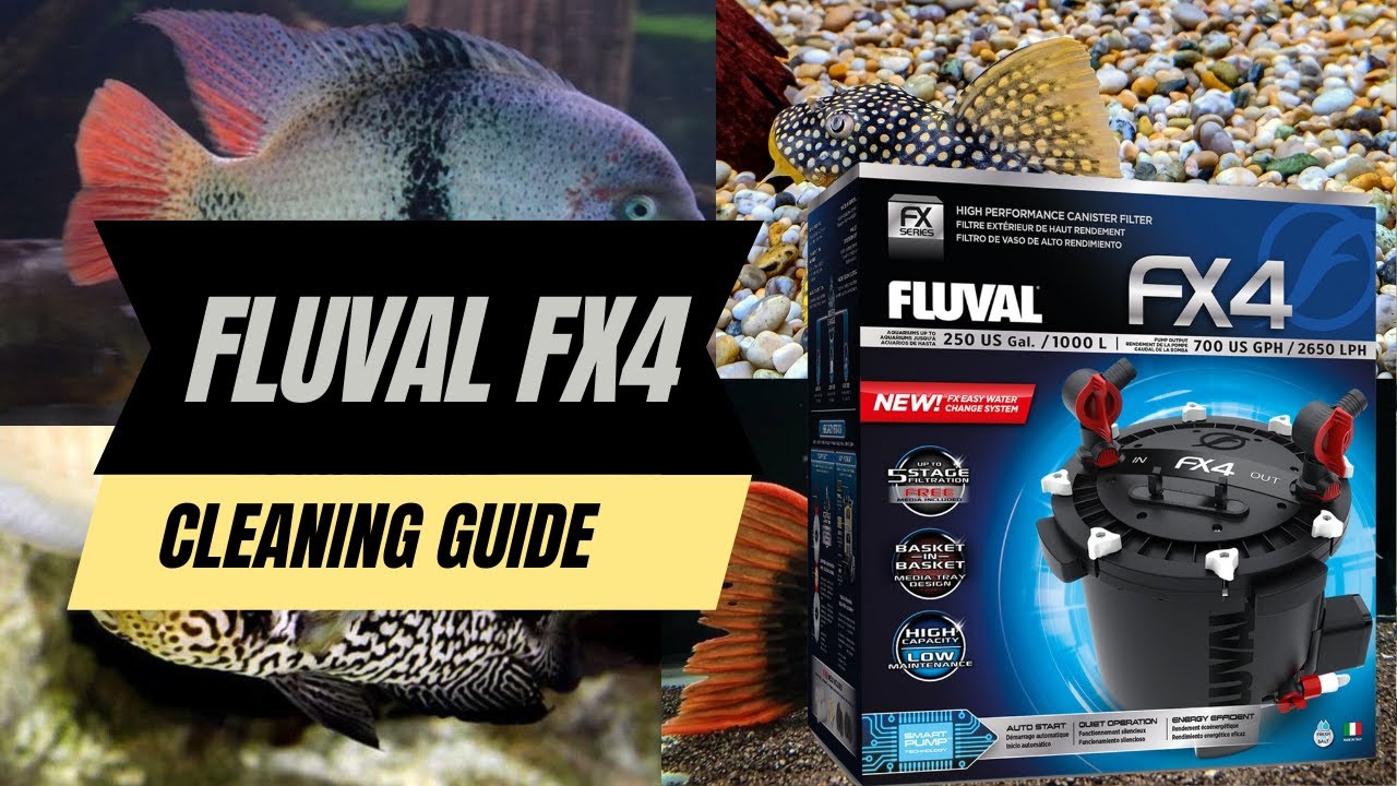 Fluval FX4  CANISTER Filter Cleaning GUIDE (QUICK + EASY)