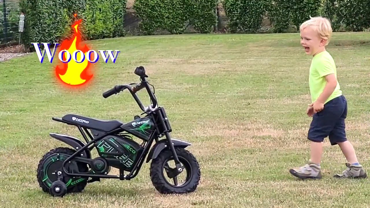 A Great Surprise - Eco Flee 300W 24V Electric Mini Monkey Bike