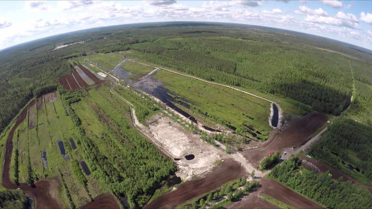 Turvesuon elinkaari