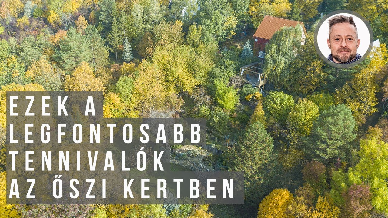 Ezek a legfontosabb tennival&oacute;k az őszi kertben