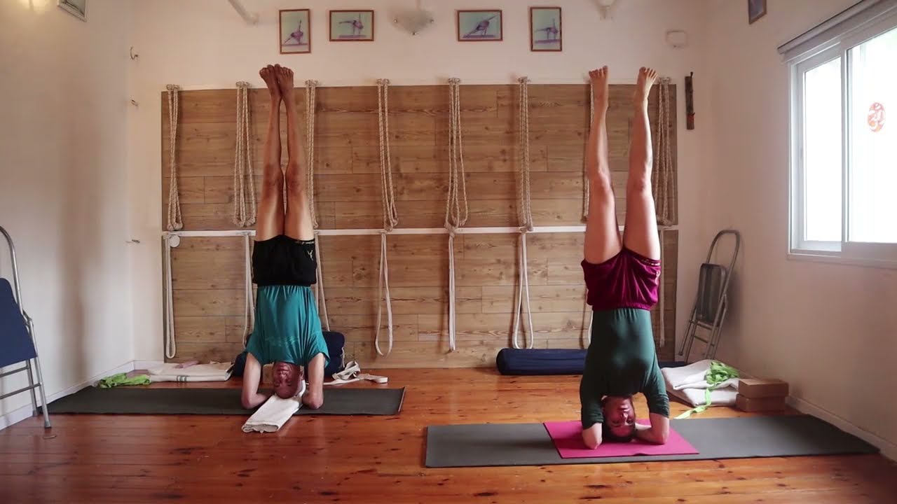 Yoga Training to Strengthen The Immune System