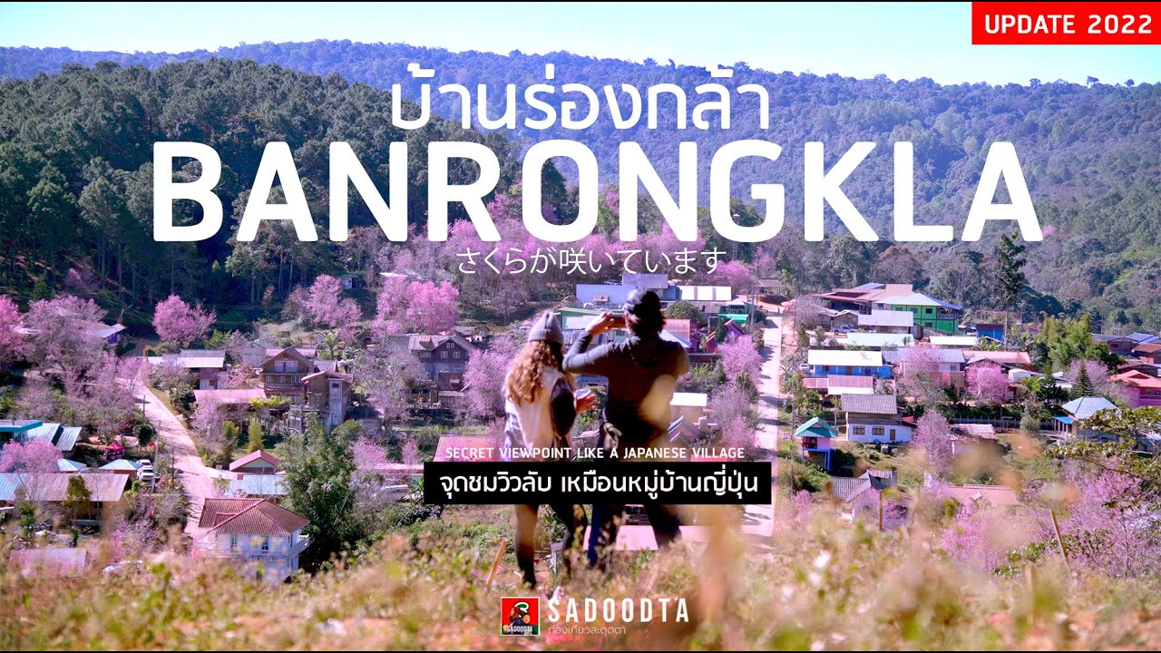 บ้านร่องกล้า ภูลมโล มุมลับใหม่ชมพญาเสือโคร่ง เหมือนเที่ยวหมู่บ้านญี่ปุ่น | sadoodta