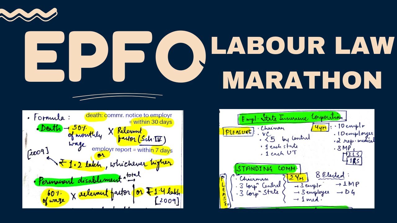All labour Acts in 1 Video