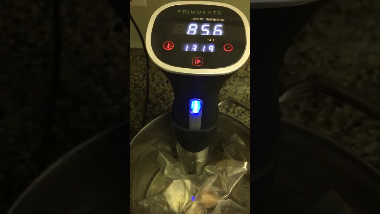 Sous Vide Immersion Cooker by PrimoEats