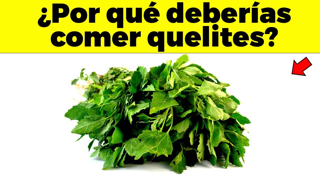 5 razones para comer quelites todos los d&iacute;as