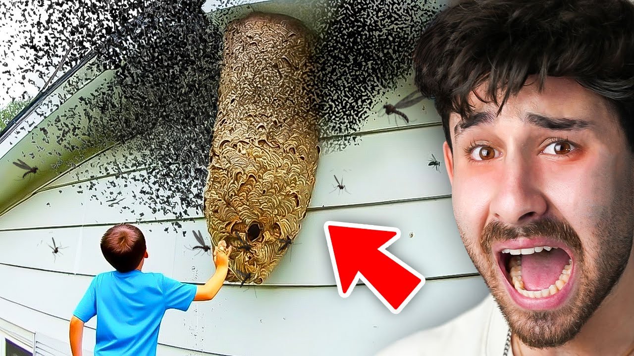 הילד הזה עשה את הדבר הכי טיפשי בעולם!? (האנשים הכי טיפשים באינטרנט!)